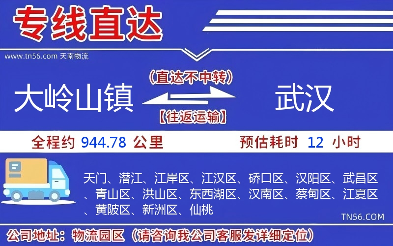 大嶺山鎮到武漢物流公司